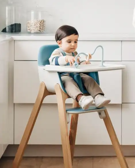 UPPAbaby product photo