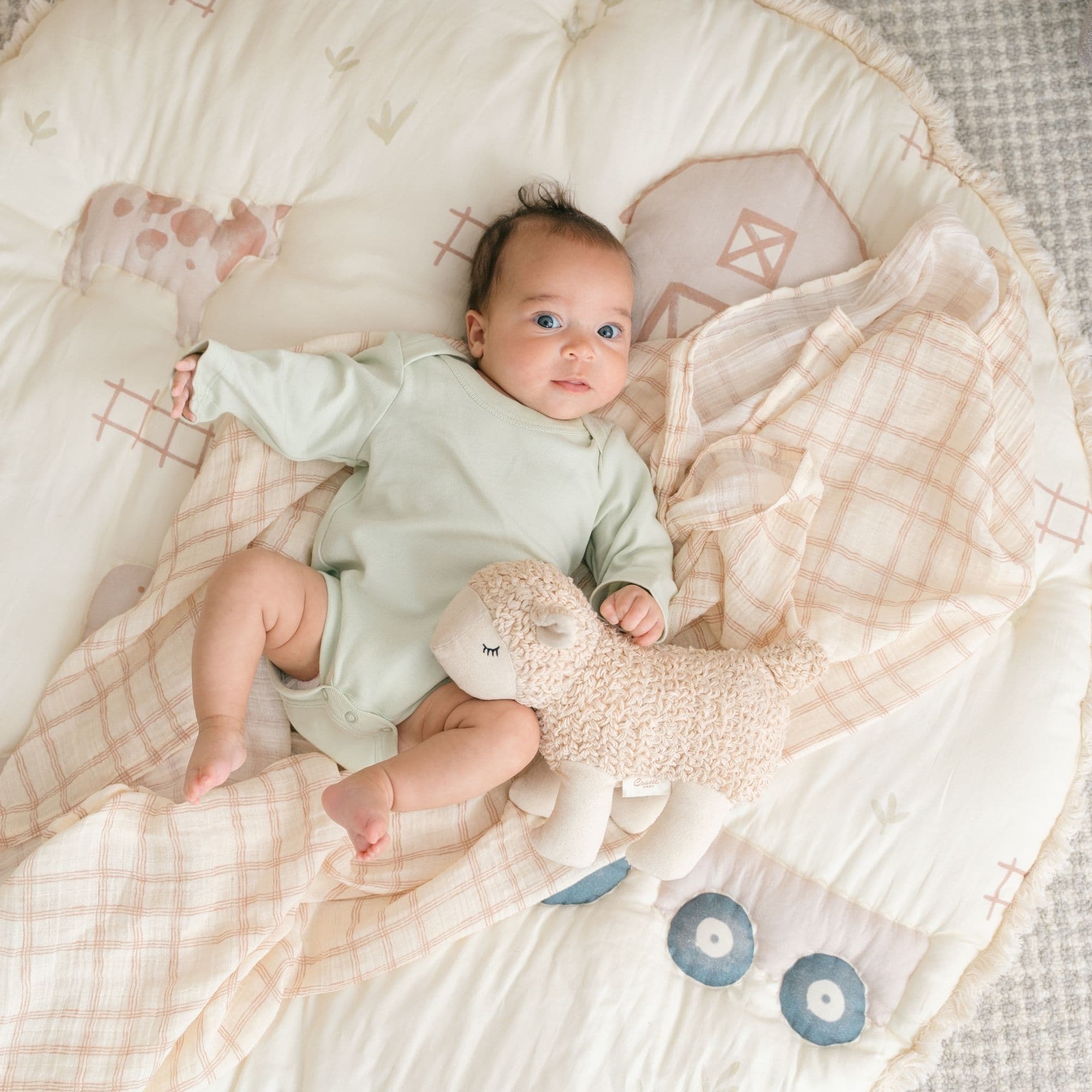 Crane Baby product photo