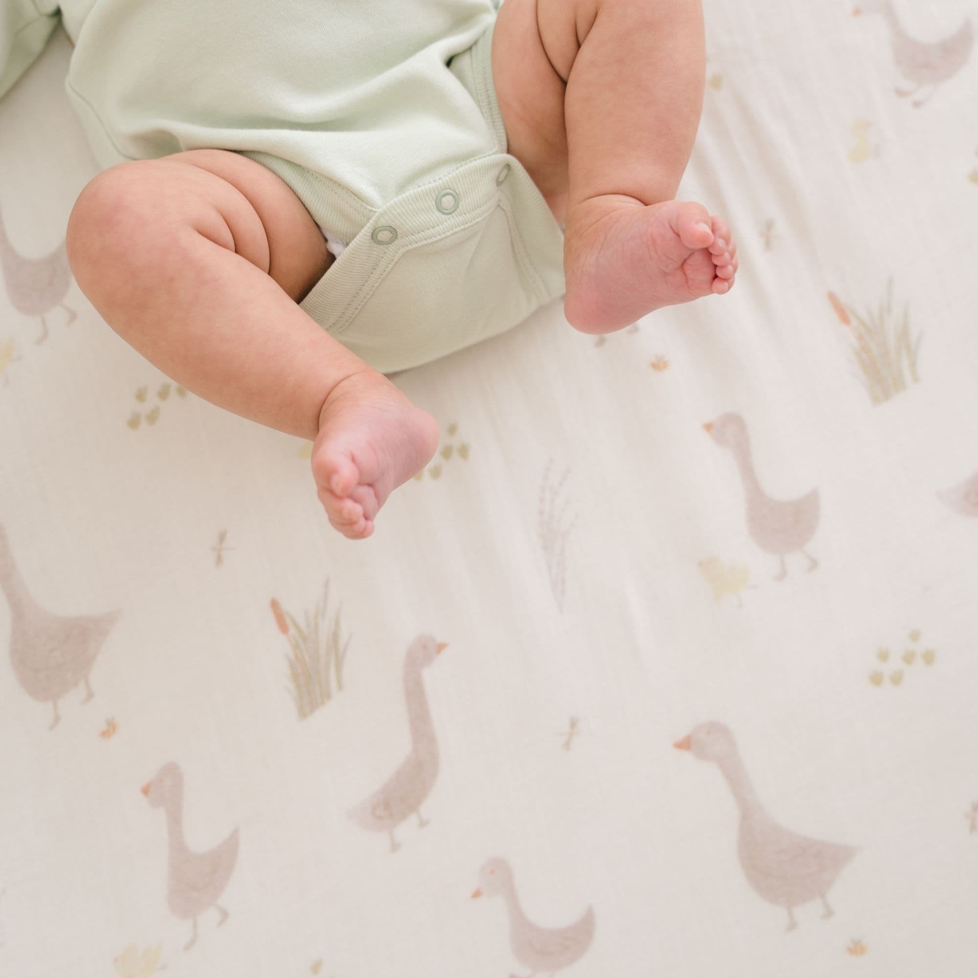 Crane Baby product photo